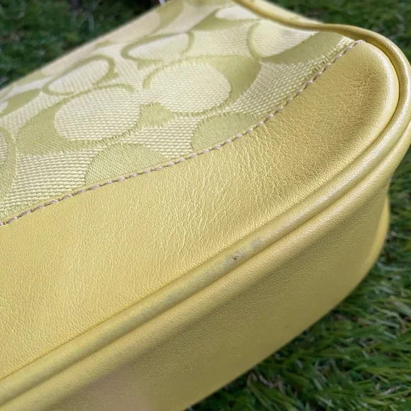 Coach demi purse